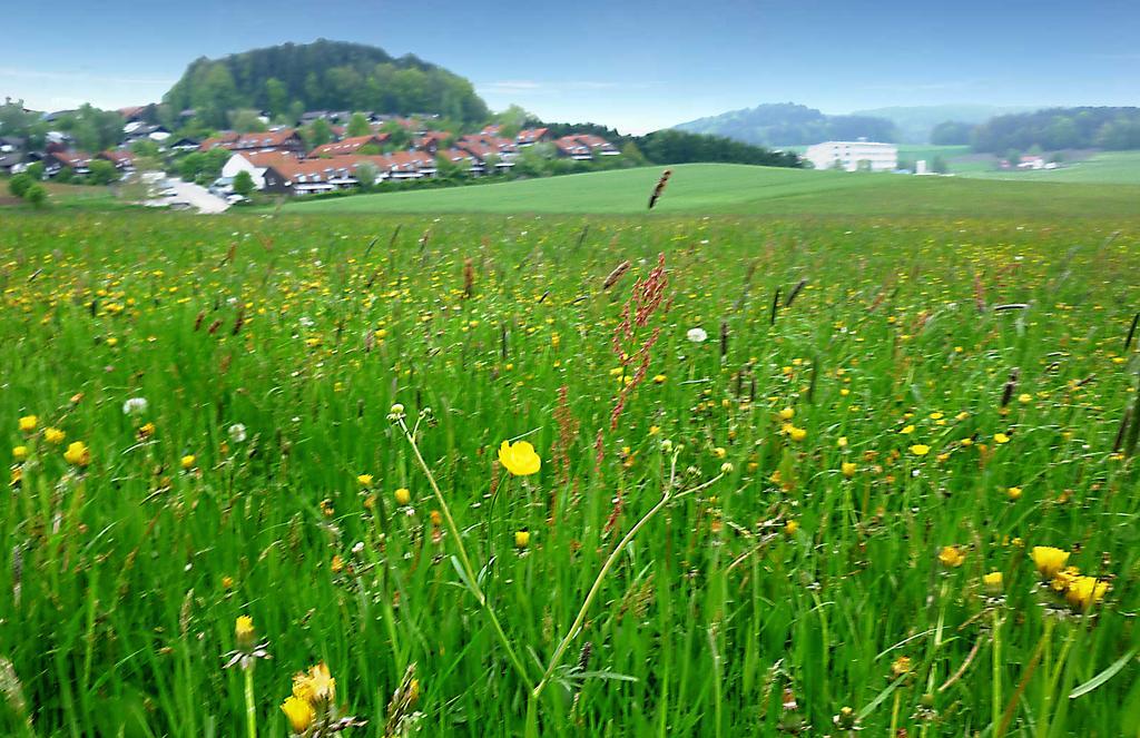 Ferienwohnung Gerda Zandt Exterior foto